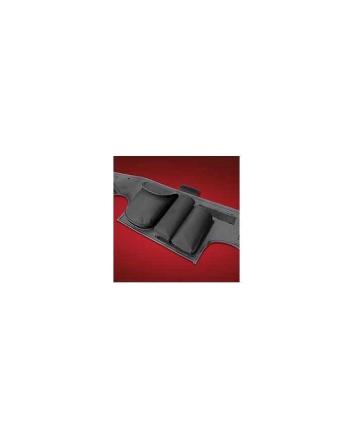 Organiser de rangement coffre arrière Spyder RT