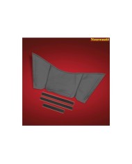 PROTECTION DE RÉSERVOIR spyder F3