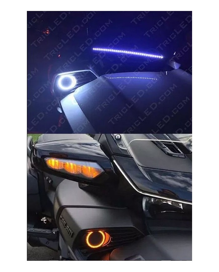 Anneaux Angel Eyes LED dual couleur pour spyder F3