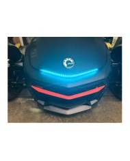 Cyclops LED spyder multicolore (avec télécommande) F3- / F3-LTD