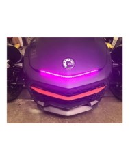 Cyclops LED spyder multicolore (avec télécommande) F3- / F3-LTD