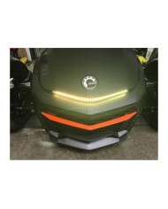 Cyclops LED spyder multicolore (avec télécommande) F3- / F3-LTD