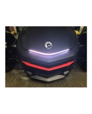 Cyclops LED spyder multicolore (avec télécommande) F3- / F3-LTD