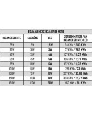 Ampoule H1 LED + Ballast - 16W/2200 Lumens