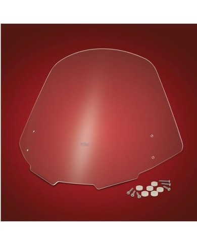 Pare Brise OEM Spyder F3T