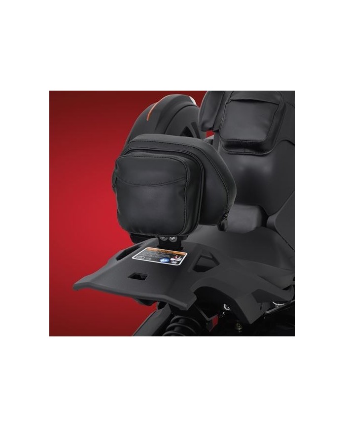 DOSSIER PILOTE "AMOVIBLE" RYKER