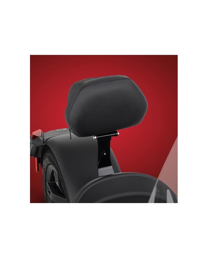 DOSSIER PILOTE "AMOVIBLE" RYKER