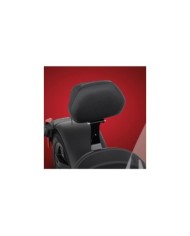 DOSSIER PILOTE "AMOVIBLE" RYKER