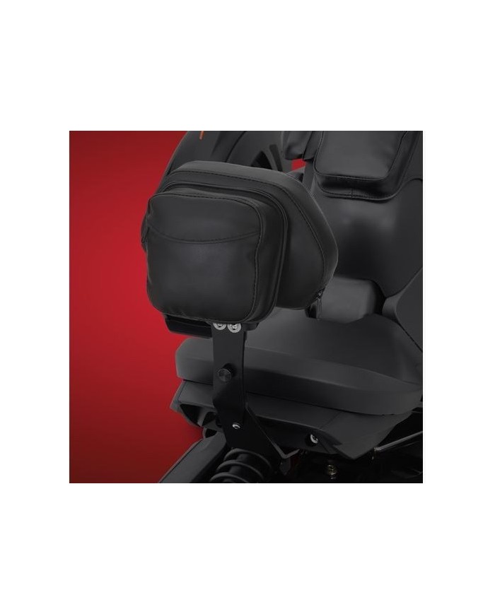 DOSSIER PILOTE "AMOVIBLE" RYKER