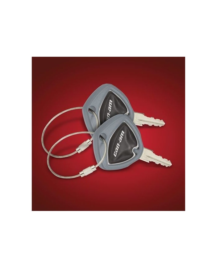 PROTECTION DE CLÉ SPYDER GRIS