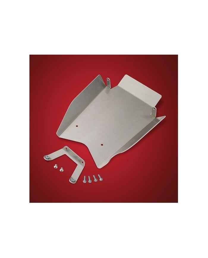 PLAQUE DE PROTECTION RYKER