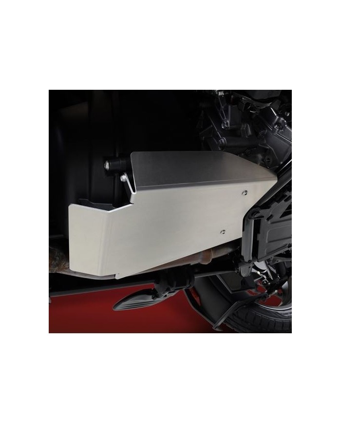 PLAQUE DE PROTECTION RYKER